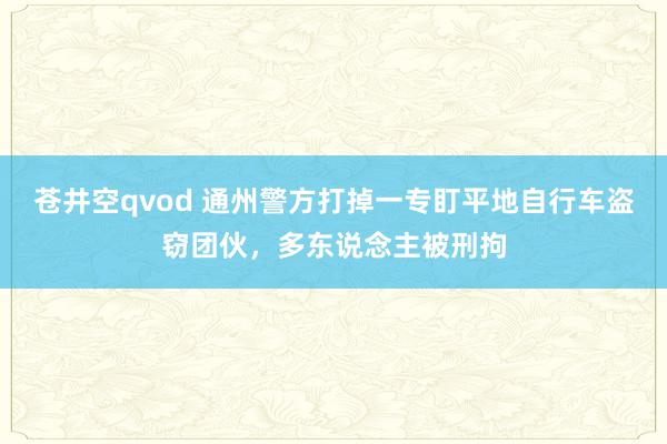 苍井空qvod 通州警方打掉一专盯平地自行车盗窃团伙，多东说念主被刑拘