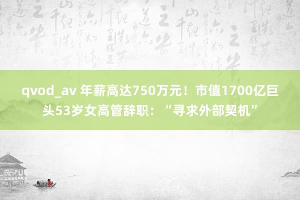 qvod_av 年薪高达750万元！市值1700亿巨头53岁女高管辞职：“寻求外部契机”