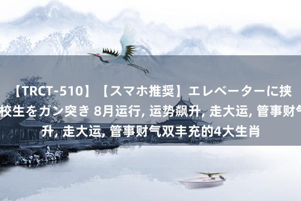 【TRCT-510】【スマホ推奨】エレベーターに挟まれたデカ尻女子校生をガン突き 8月运行, 运势飙升, 走大运, 管事财气双丰充的4大生肖