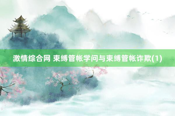 激情综合网 束缚管帐学问与束缚管帐诈欺(1)