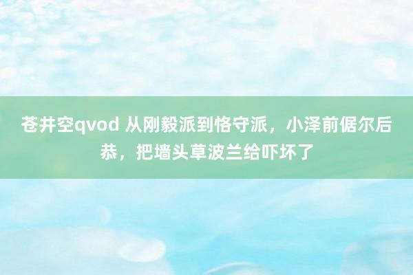 苍井空qvod 从刚毅派到恪守派，小泽前倨尔后恭，把墙头草波兰给吓坏了