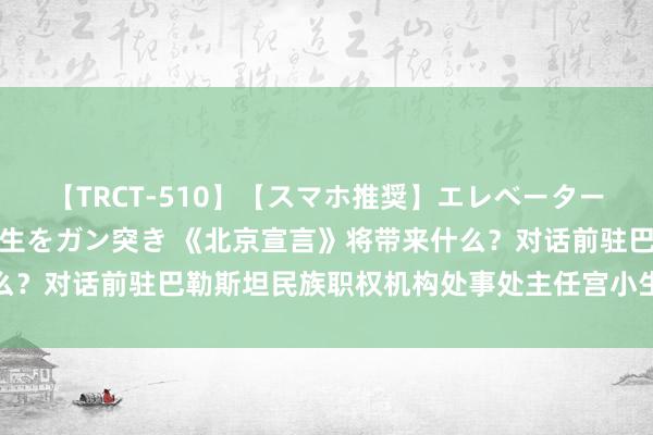 【TRCT-510】【スマホ推奨】エレベーターに挟まれたデカ尻女子校生をガン突き 《北京宣言》将带来什么？对话前驻巴勒斯坦民族职权机构处事处主任宫小生｜对话大使