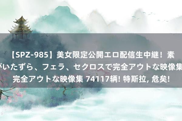 【SPZ-985】美女限定公開エロ配信生中継！素人娘、カップルたちがいたずら、フェラ、セクロスで完全アウトな映像集 74117辆! 特斯拉, 危矣!