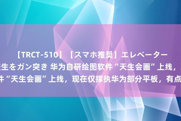 【TRCT-510】【スマホ推奨】エレベーターに挟まれたデカ尻女子校生をガン突き 华为自研绘图软件“天生会画”上线，现在仅撑执华为部分平板，有点缺憾！