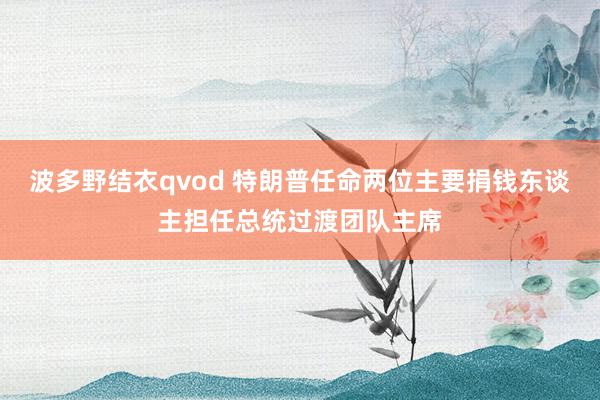 波多野结衣qvod 特朗普任命两位主要捐钱东谈主担任总统过渡团队主席