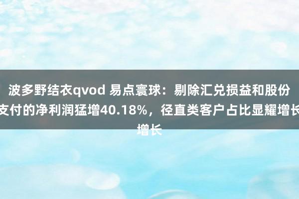 波多野结衣qvod 易点寰球：剔除汇兑损益和股份支付的净利润猛增40.18%，径直类客户占比显耀增长